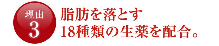 生漢煎防風通聖散が効果で選ばれる3つの理由